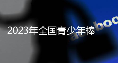 2023年全国青少年棒球公开赛(福建赛区)完赛!